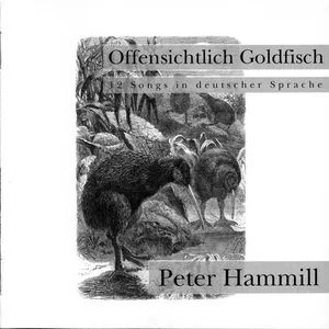 Offentsichtlich Goldfisch
